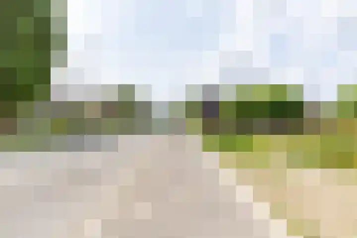 Wielewaalplein 246 Groningen thumbnail 32