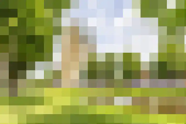 Wielewaalplein 246 Groningen thumbnail 34