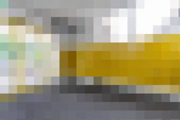 Wielewaalplein 246 Groningen thumbnail 6