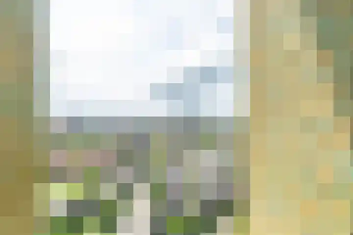 Wielewaalplein 246 Groningen thumbnail 9
