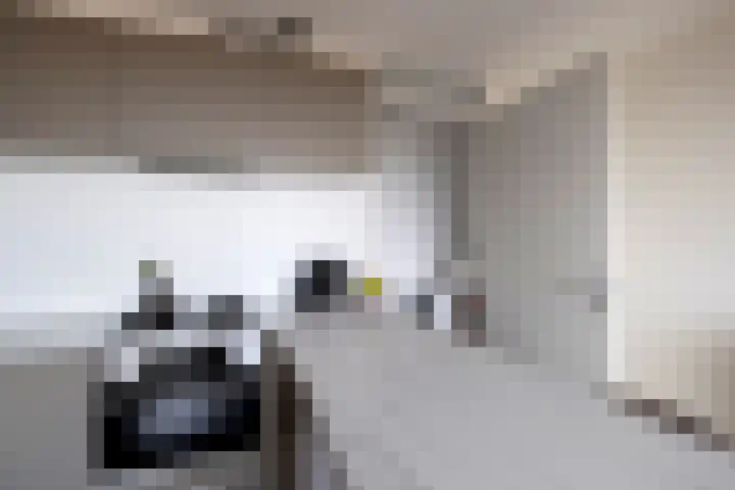 Wielewaalplein 248 Groningen thumbnail 10