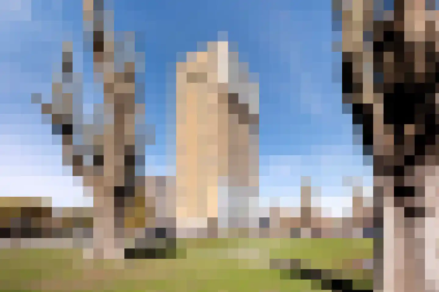 Wielewaalplein 248 Groningen thumbnail 35