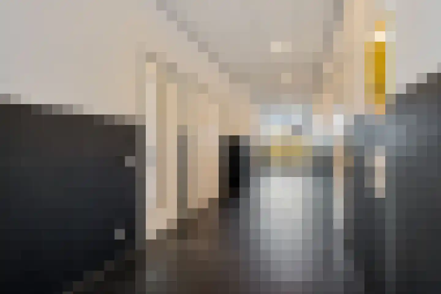 Wielewaalplein 250 Groningen thumbnail 28