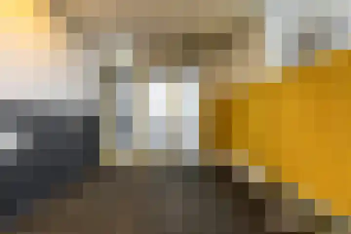 Wielewaalplein 252 Groningen thumbnail 4