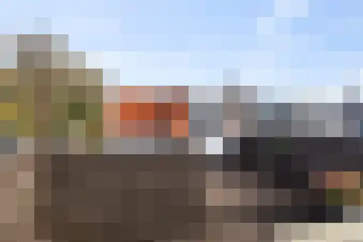 Wielewaalplein 252 Groningen thumbnail 9