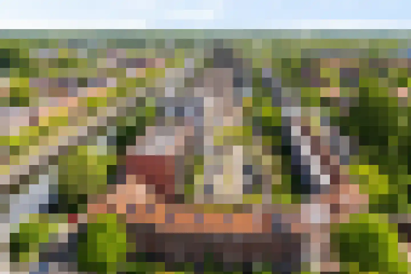 Wielewaalplein 258 Groningen thumbnail 17