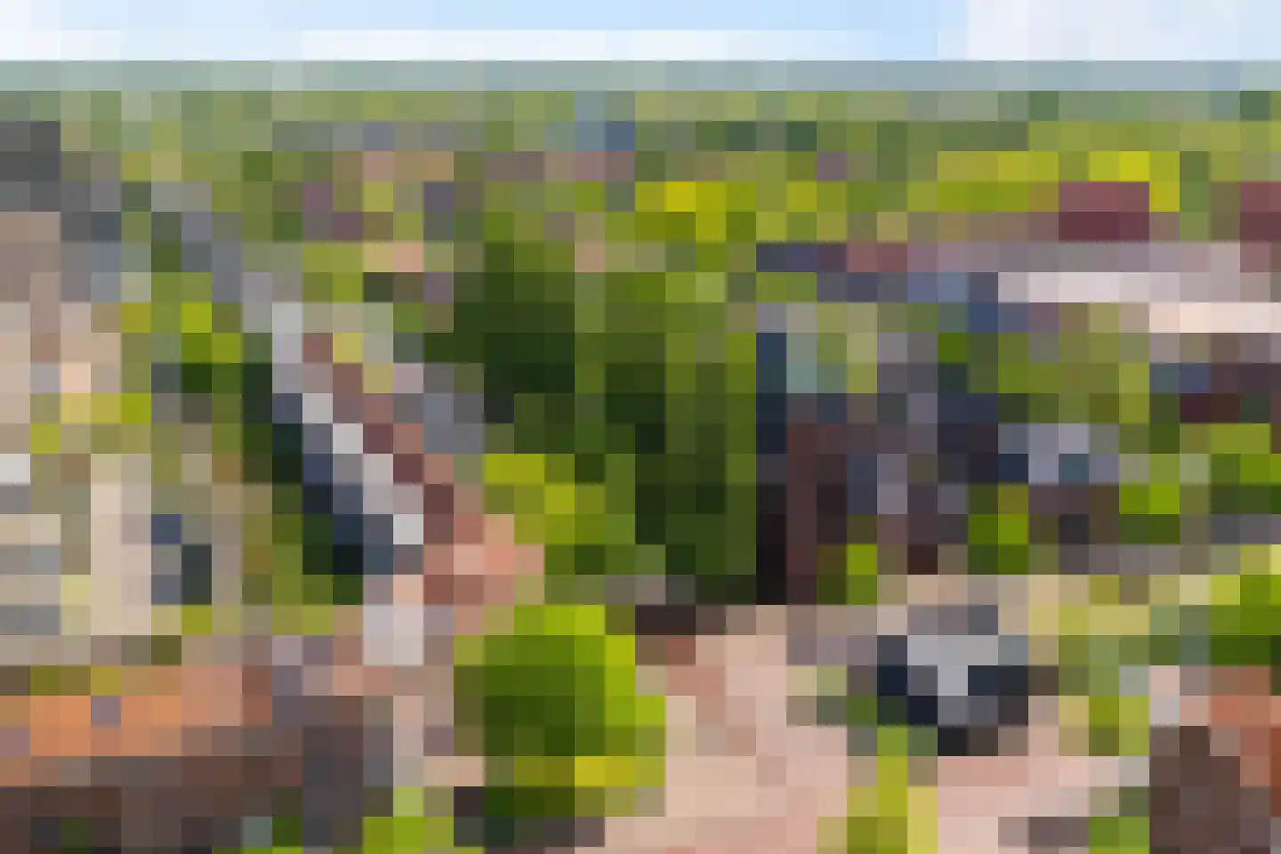 Wielewaalplein 258 Groningen thumbnail 18