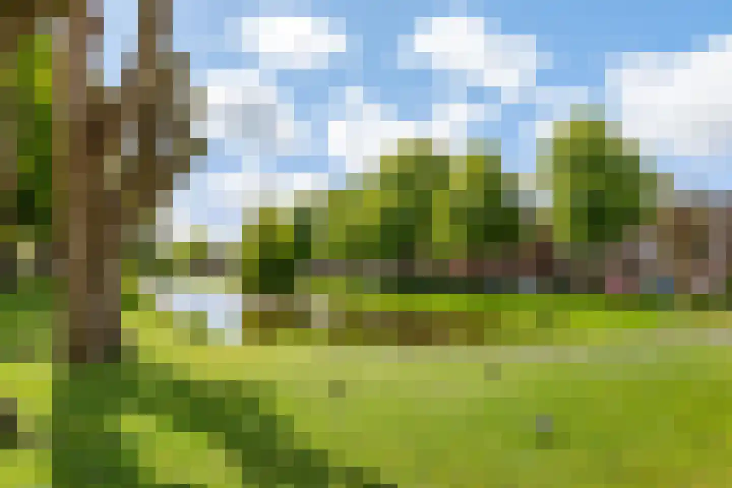 Wielewaalplein 258 Groningen thumbnail 38