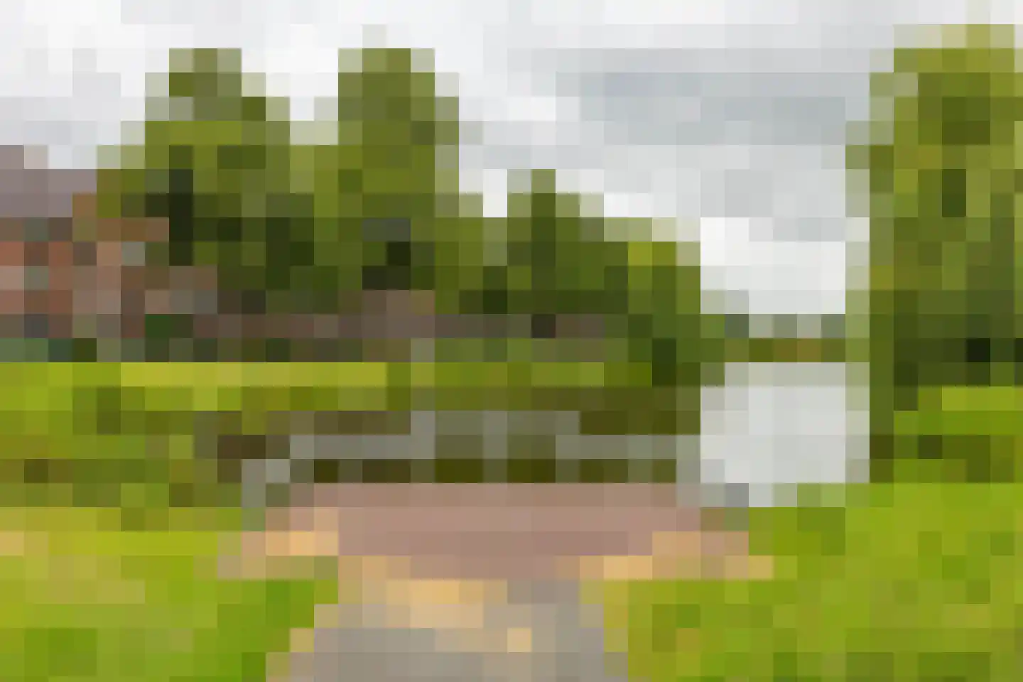 Wielewaalplein 270 Groningen thumbnail 18