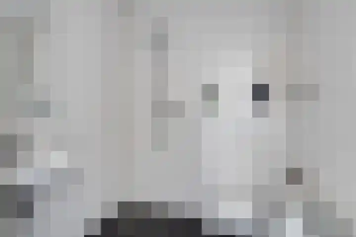 Wielewaalplein 284 Groningen thumbnail 12