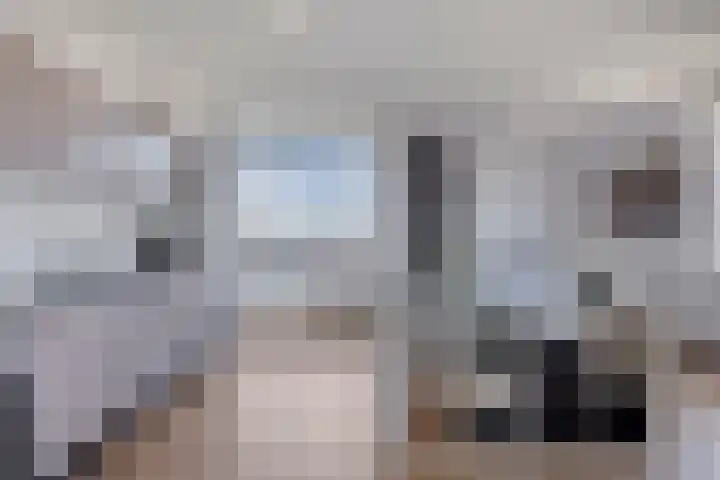 Wielewaalplein 284 Groningen thumbnail 14