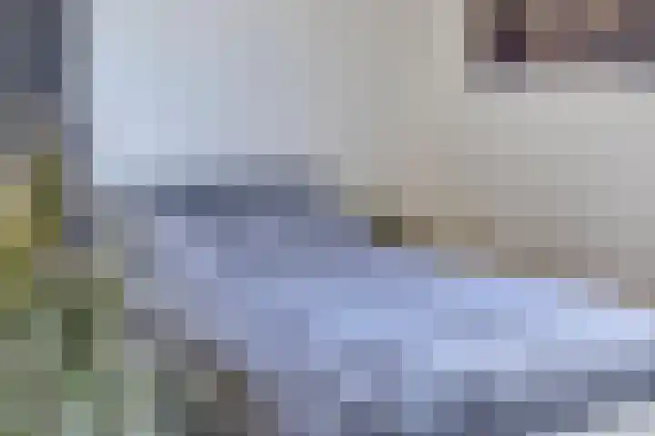 Wielewaalplein 284 Groningen thumbnail 21