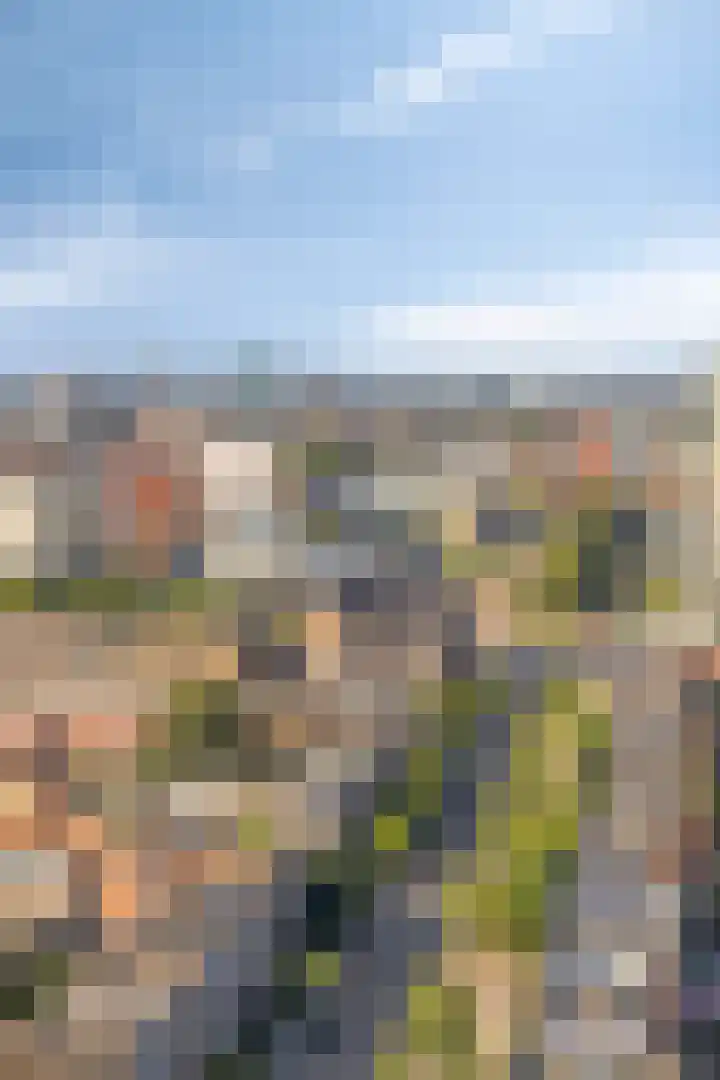 Wielewaalplein 284 Groningen thumbnail 29