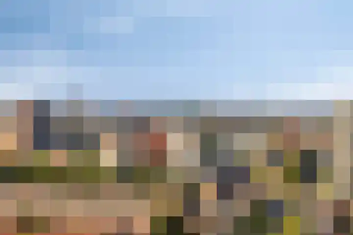 Wielewaalplein 284 Groningen thumbnail 30