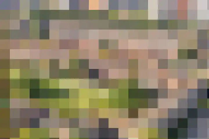 Wielewaalplein 284 Groningen thumbnail 31