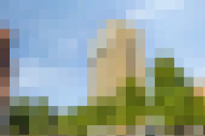 Wielewaalplein 284 Groningen thumbnail 35