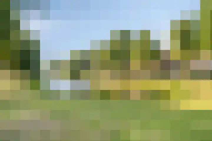 Wielewaalplein 284 Groningen thumbnail 36