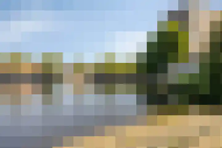 Wielewaalplein 284 Groningen thumbnail 38