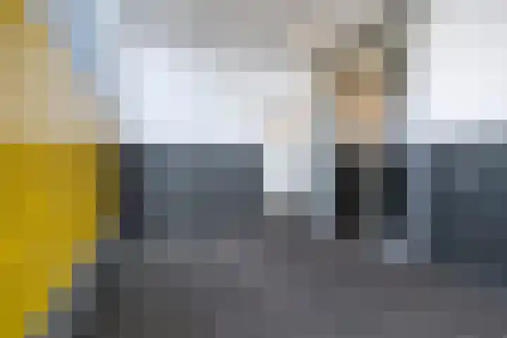 Wielewaalplein 284 Groningen thumbnail 6