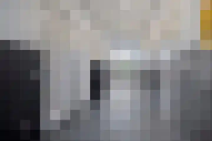 Wielewaalplein 284 Groningen thumbnail 8