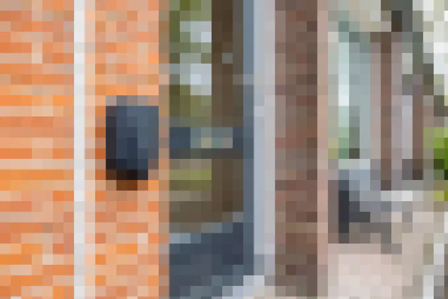 Wielewaalstraat 10 Vries thumbnail 11
