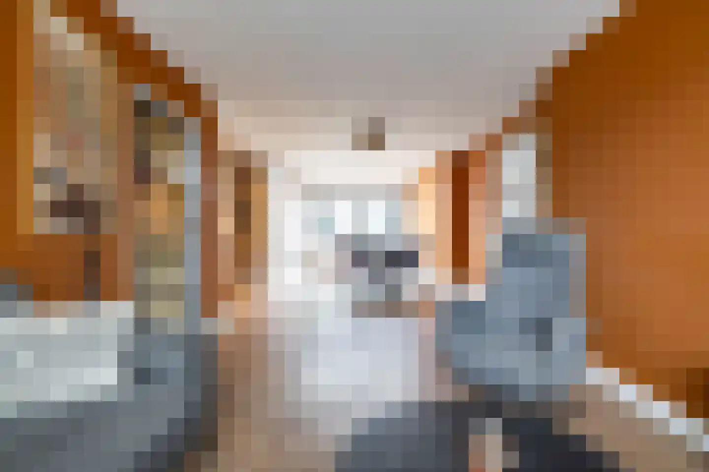 Wielewaalstraat 10 Vries thumbnail 19