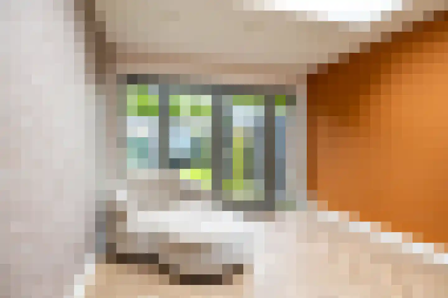 Wielewaalstraat 10 Vries thumbnail 23