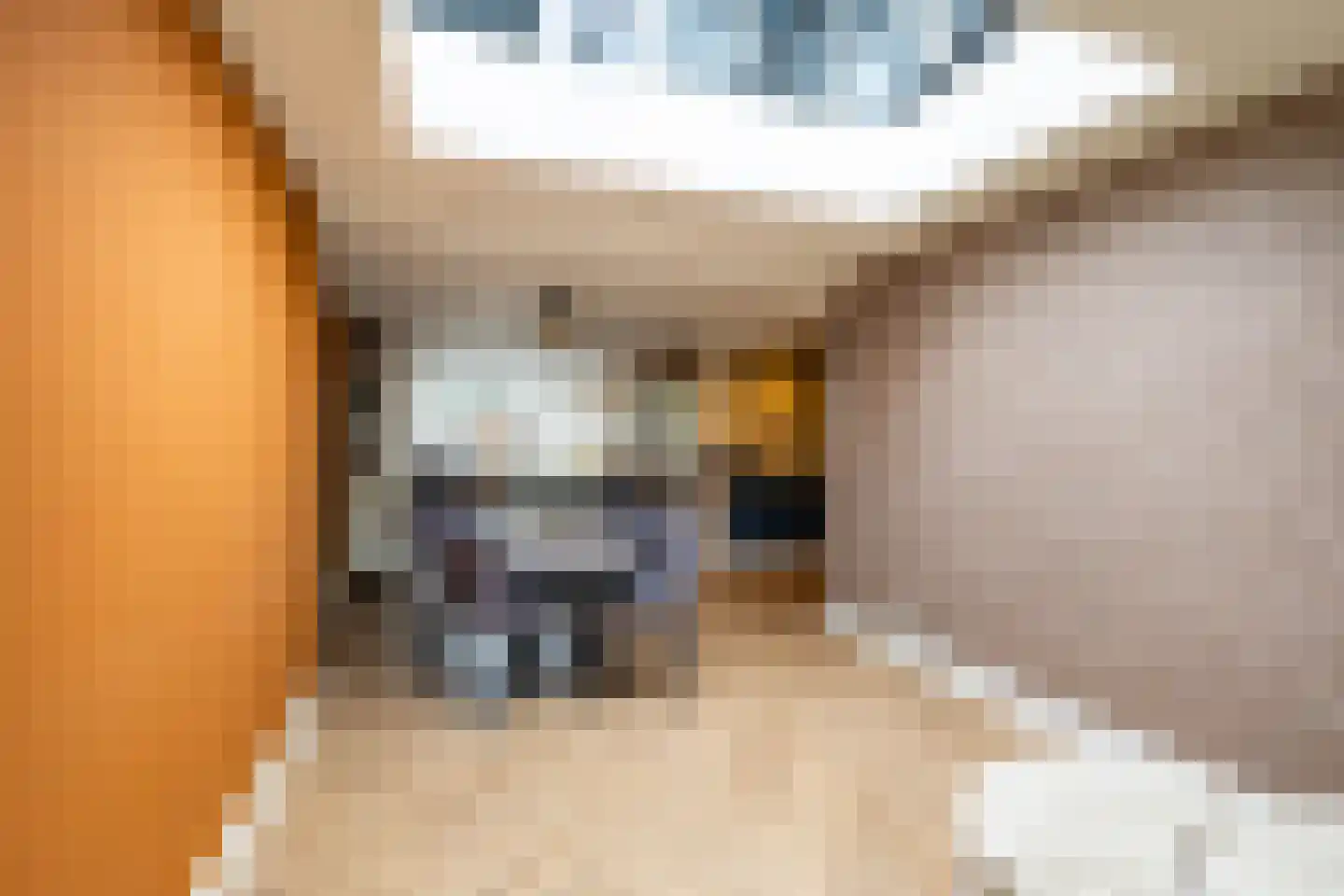 Wielewaalstraat 10 Vries thumbnail 24