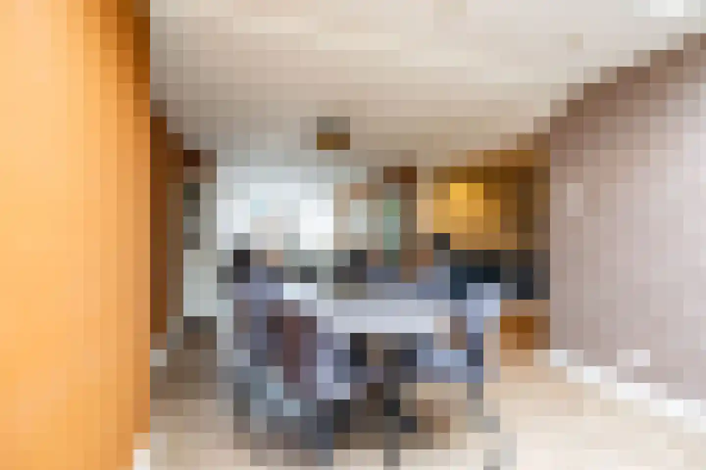 Wielewaalstraat 10 Vries thumbnail 27