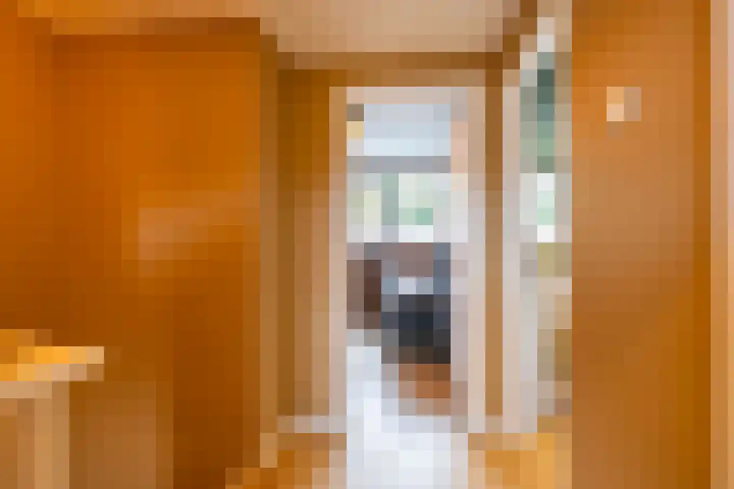 Wielewaalstraat 10 Vries thumbnail 39