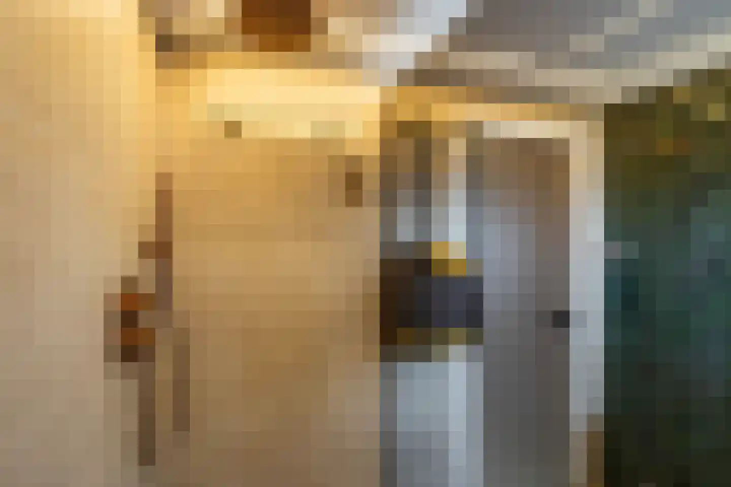 Wielewaalstraat 10 Vries thumbnail 4