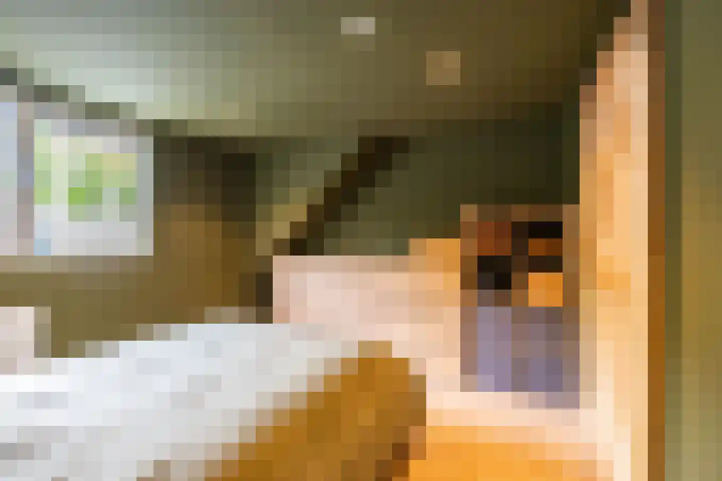 Wielewaalstraat 10 Vries thumbnail 42