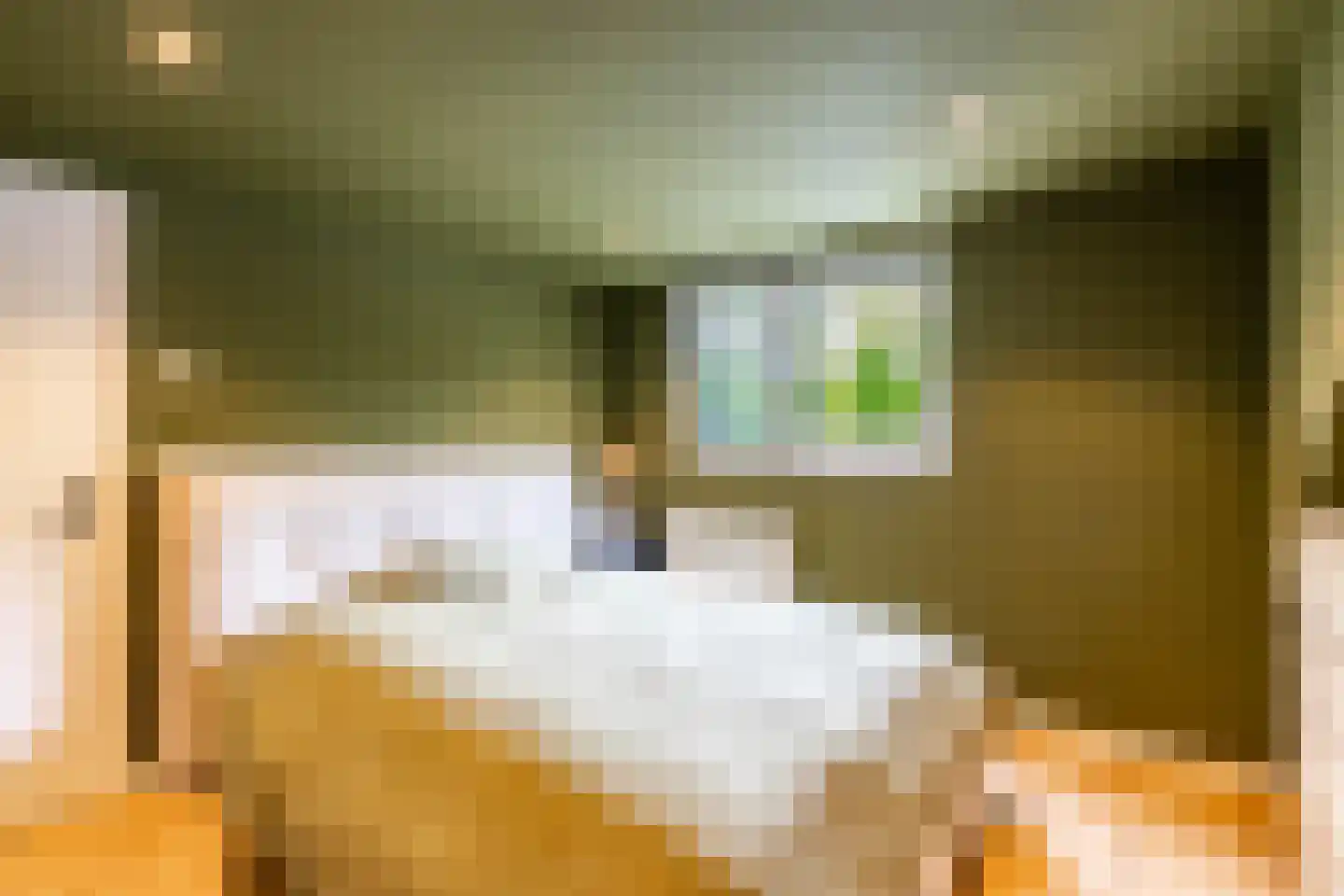Wielewaalstraat 10 Vries thumbnail 43