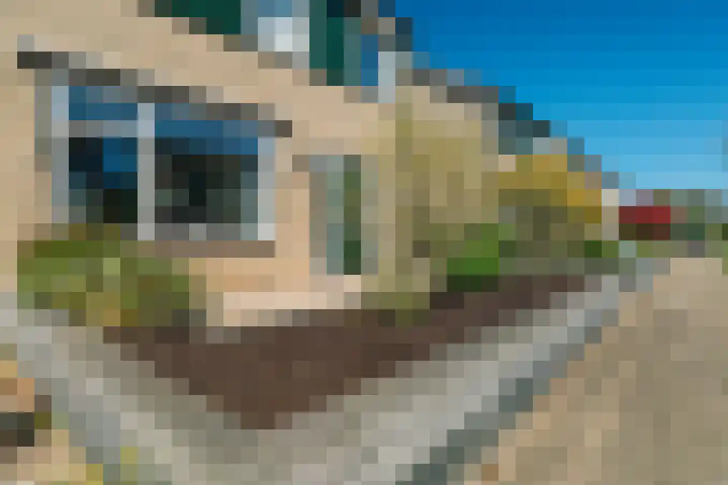 Wielewaalstraat 10 Zwartsluis thumbnail 11