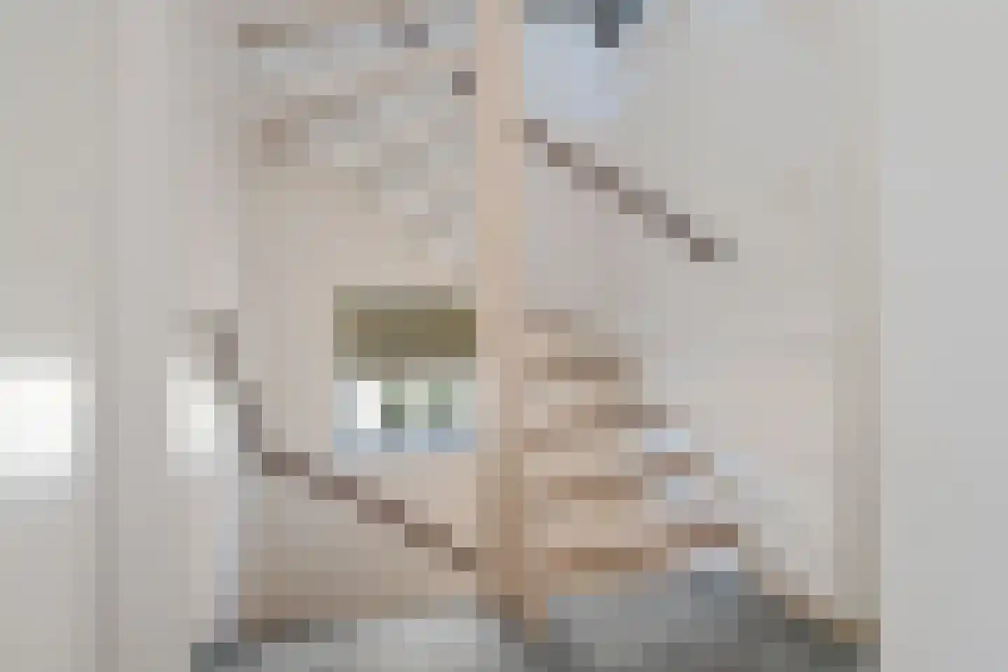 Wielewaalstraat 10 Zwartsluis thumbnail 31