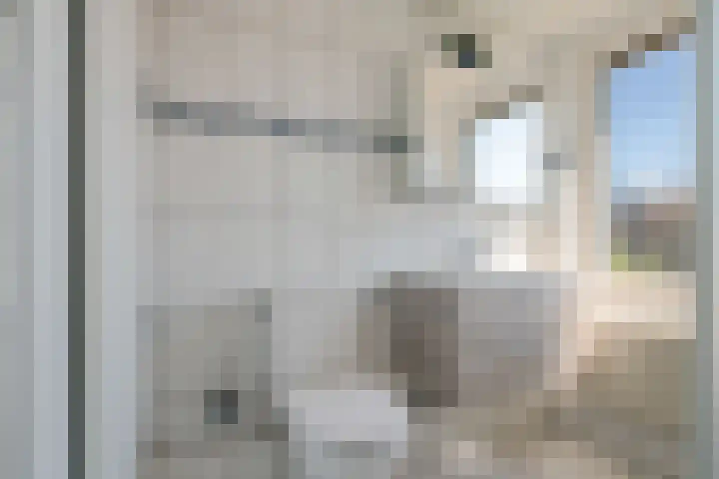Wielewaalstraat 10 Zwartsluis thumbnail 34
