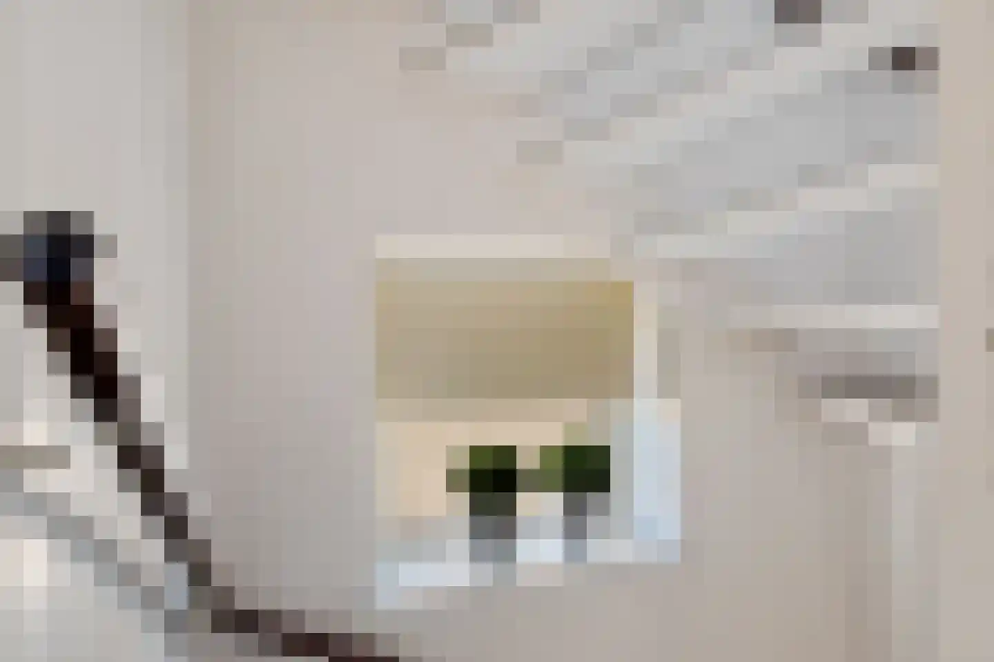 Wielewaalstraat 10 Zwartsluis thumbnail 40