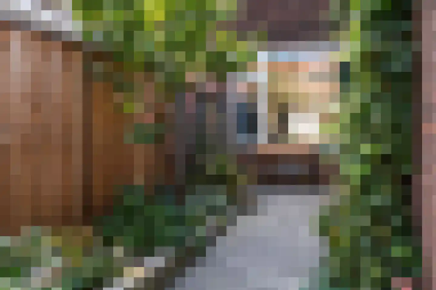 Wielewaalstraat 12 Gouda thumbnail 25