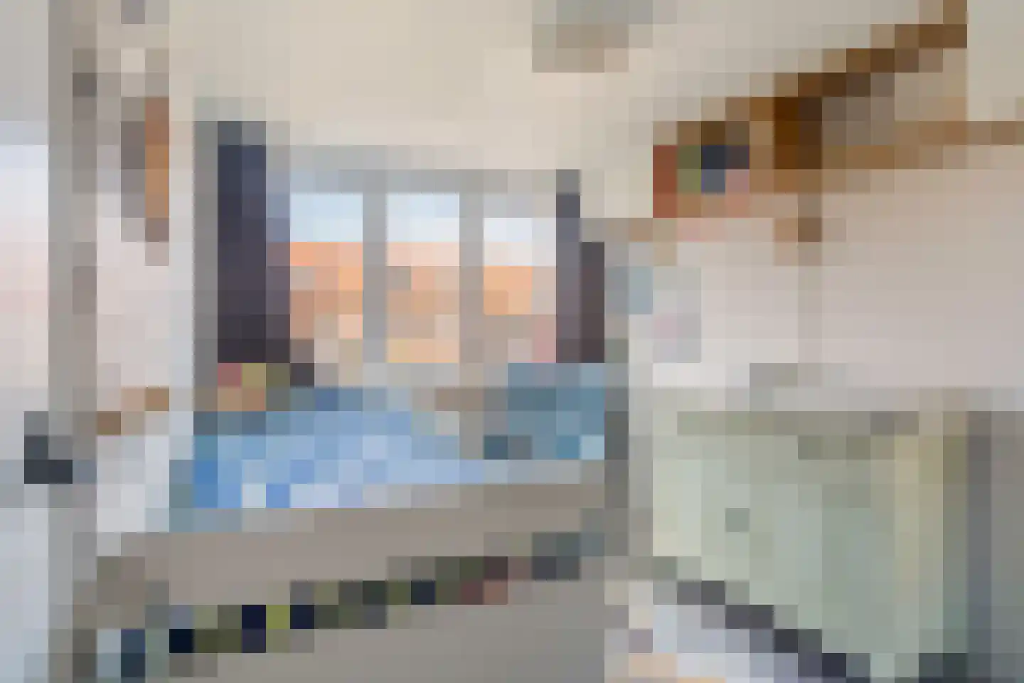 Wielewaalstraat 12 Gouda thumbnail 32