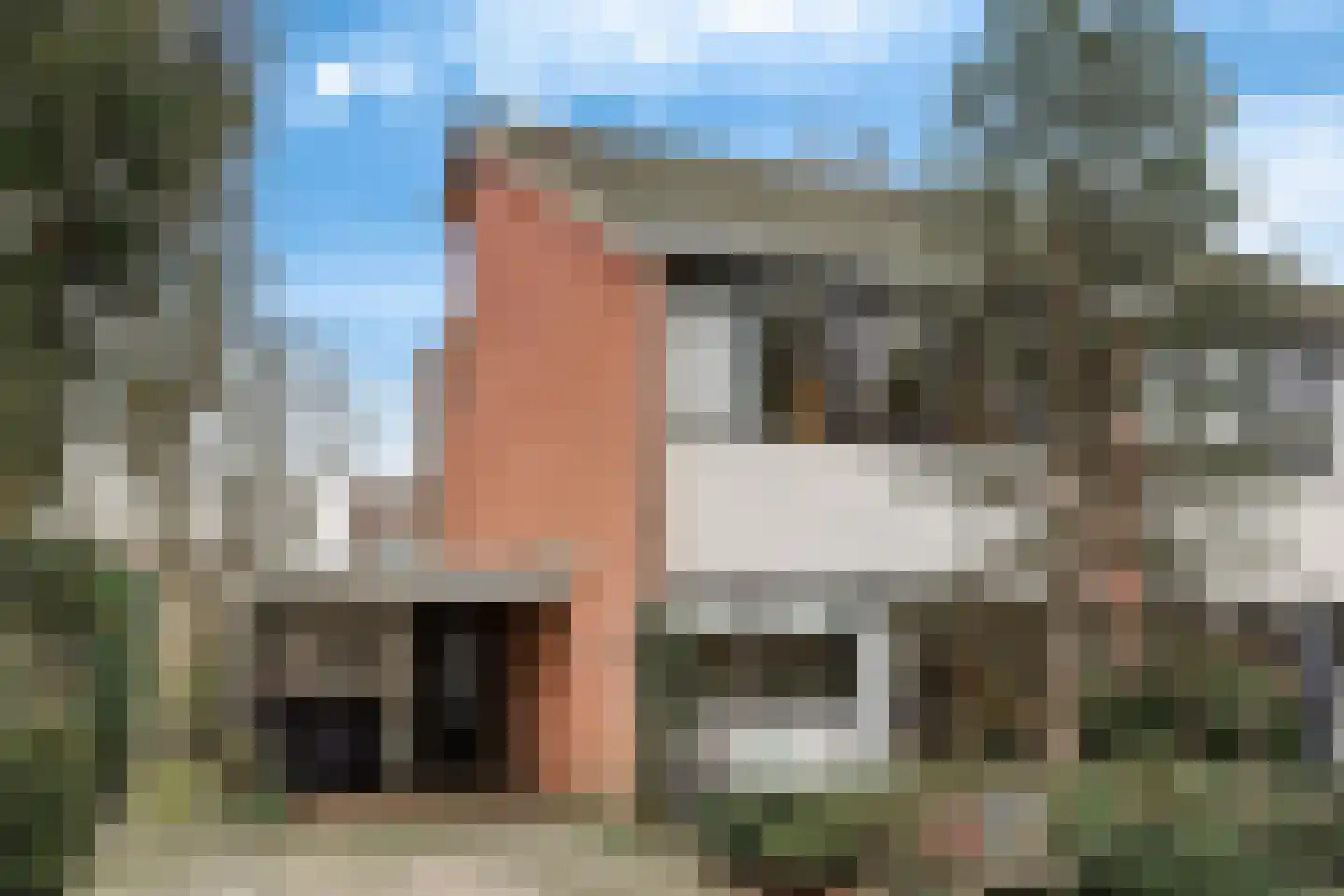 Wielewaalstraat 12 Hardenberg