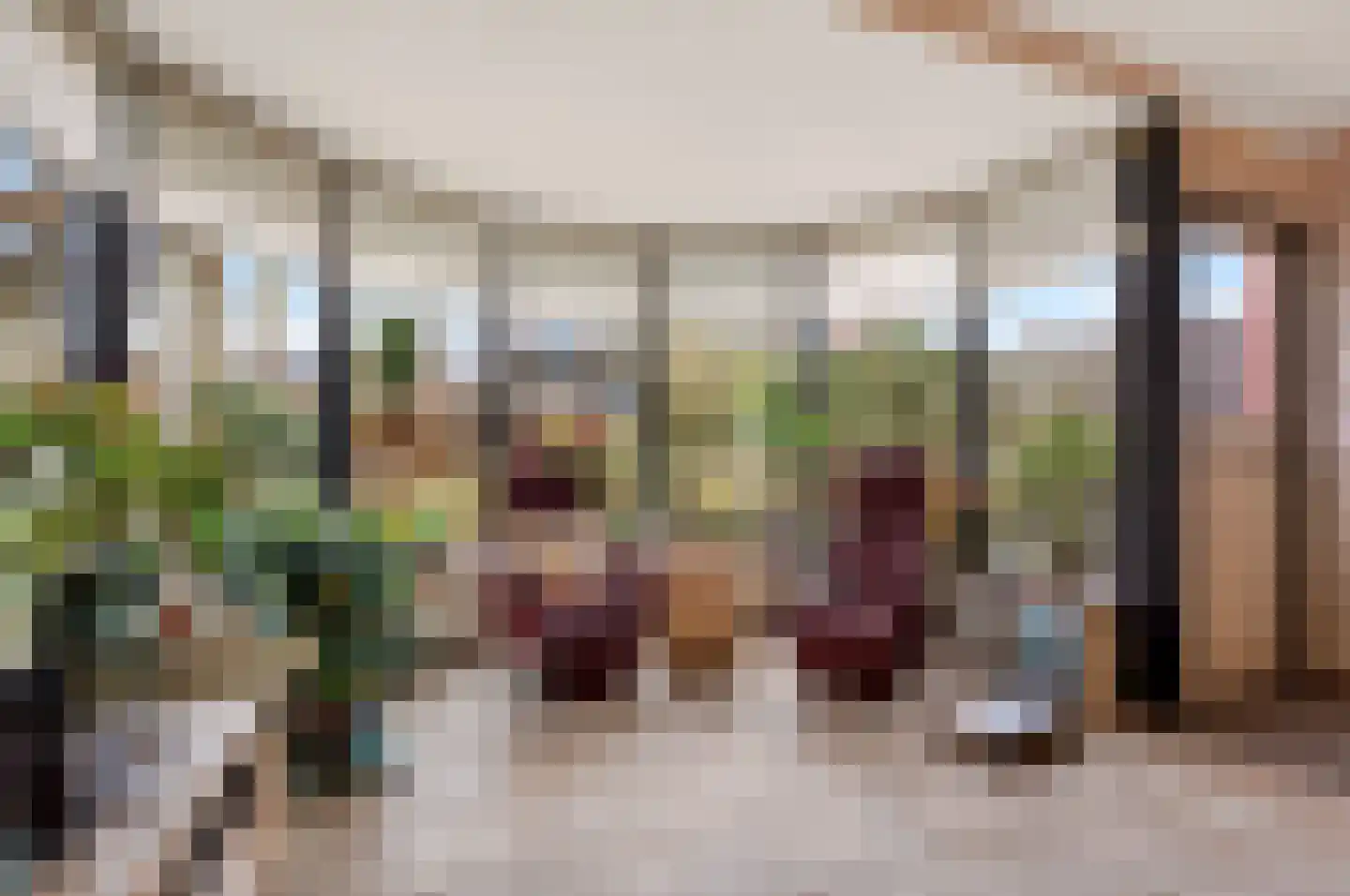 Wielewaalstraat 12 Hardenberg thumbnail 12