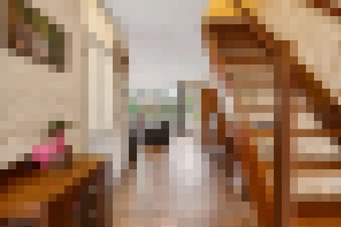 Wielewaalstraat 12 Hardenberg thumbnail 16