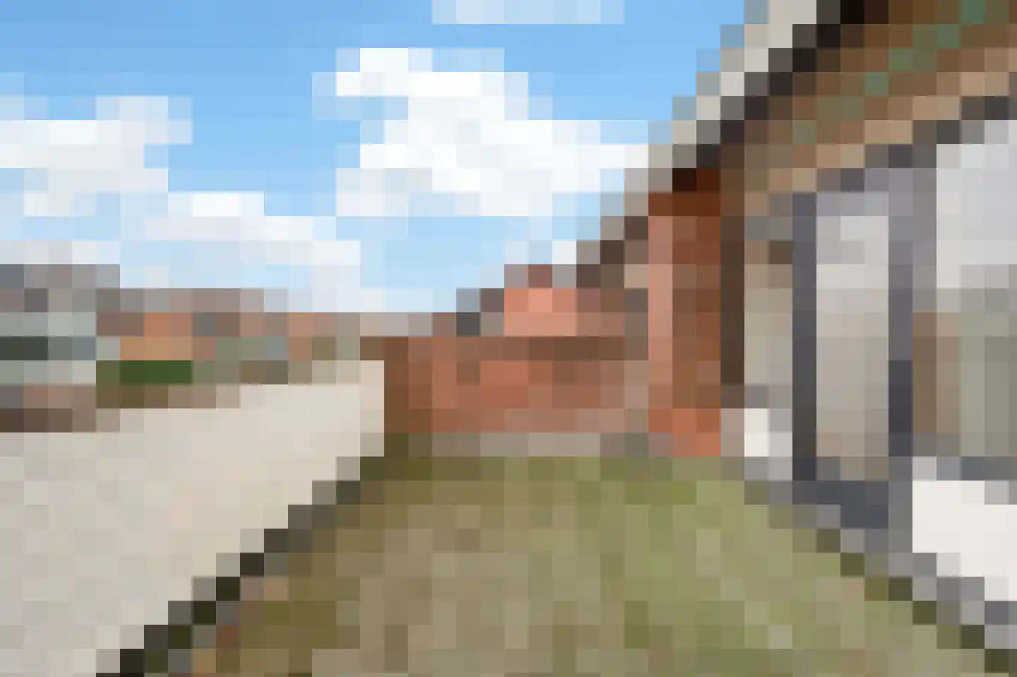 Wielewaalstraat 12 Hardenberg thumbnail 40