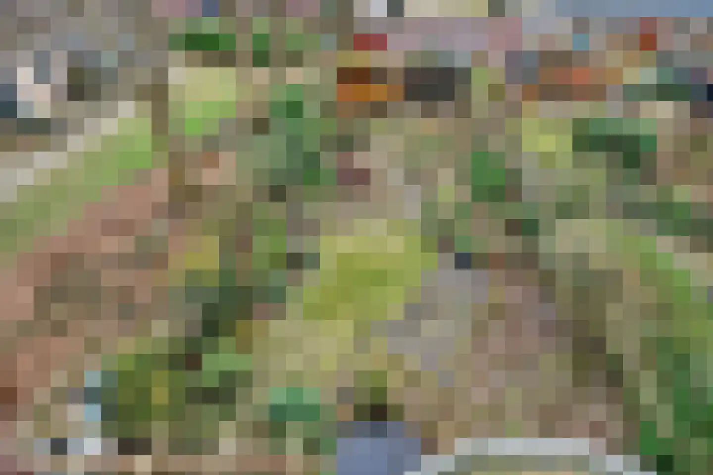 Wielewaalstraat 12 Hardenberg thumbnail 41