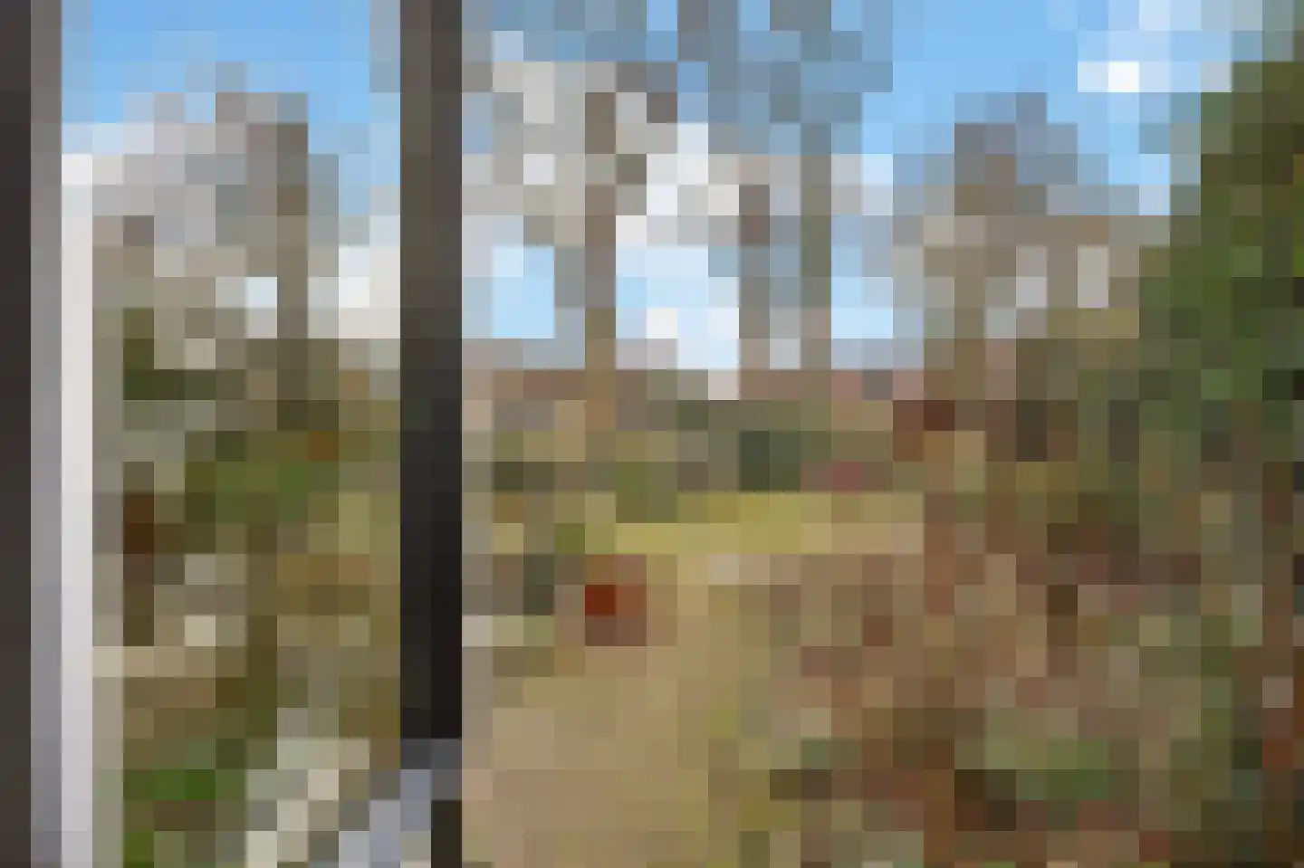 Wielewaalstraat 12 Hardenberg thumbnail 43