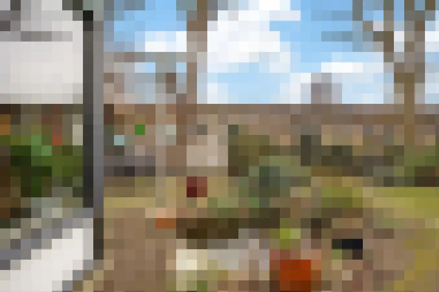 Wielewaalstraat 12 Hardenberg thumbnail 44