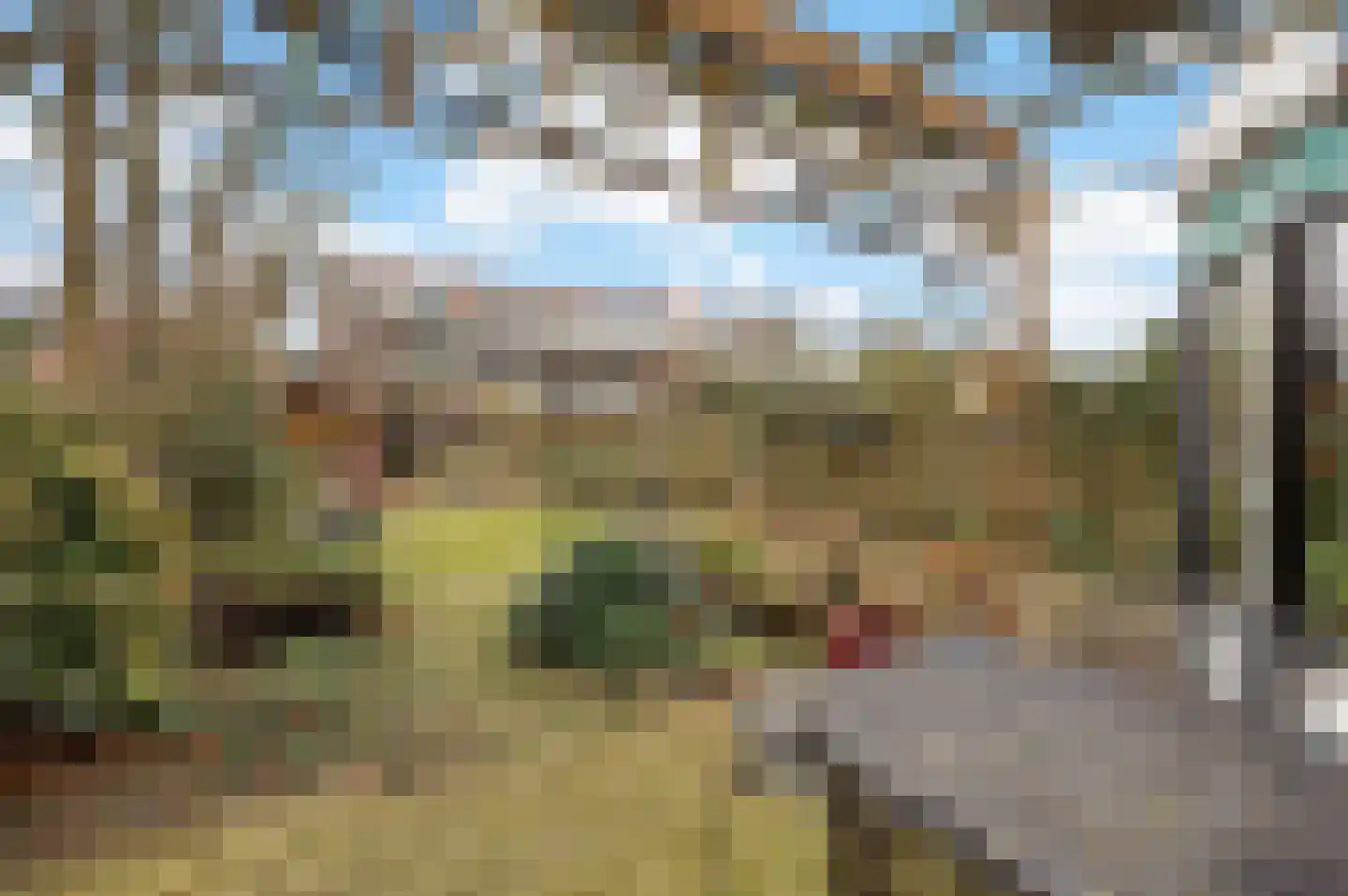 Wielewaalstraat 12 Hardenberg thumbnail 47