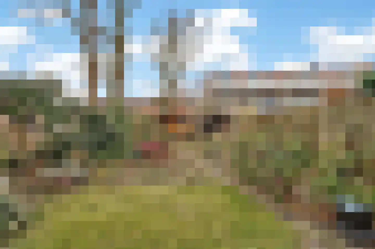 Wielewaalstraat 12 Hardenberg thumbnail 48
