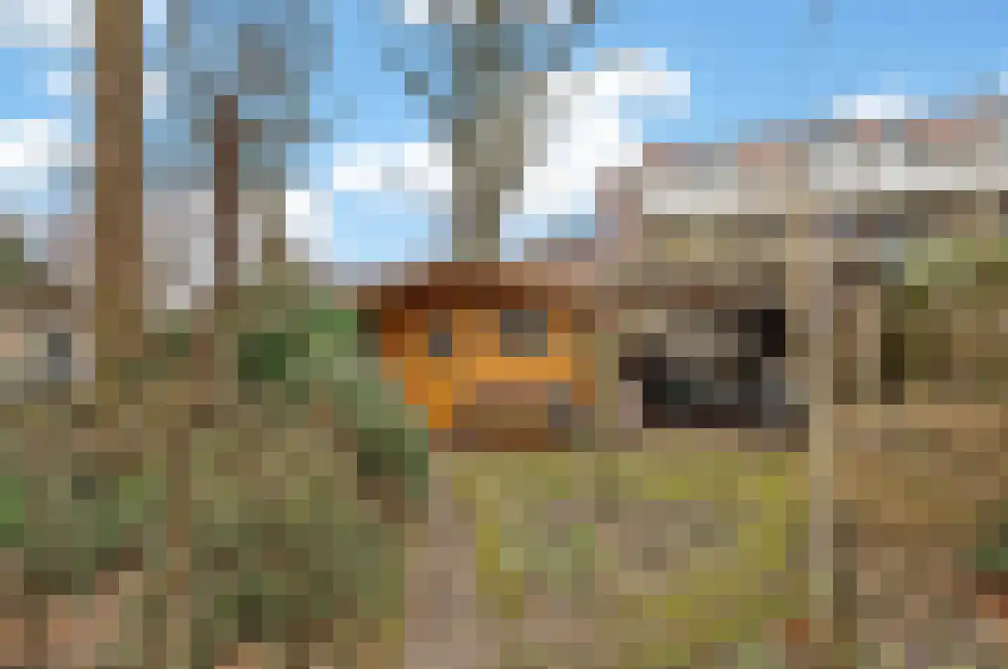 Wielewaalstraat 12 Hardenberg thumbnail 49