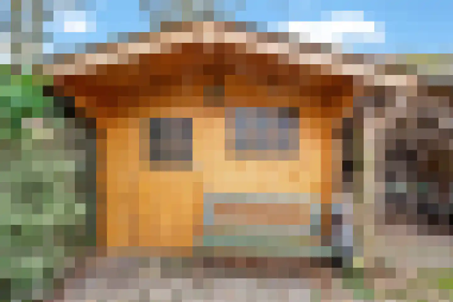 Wielewaalstraat 12 Hardenberg thumbnail 50